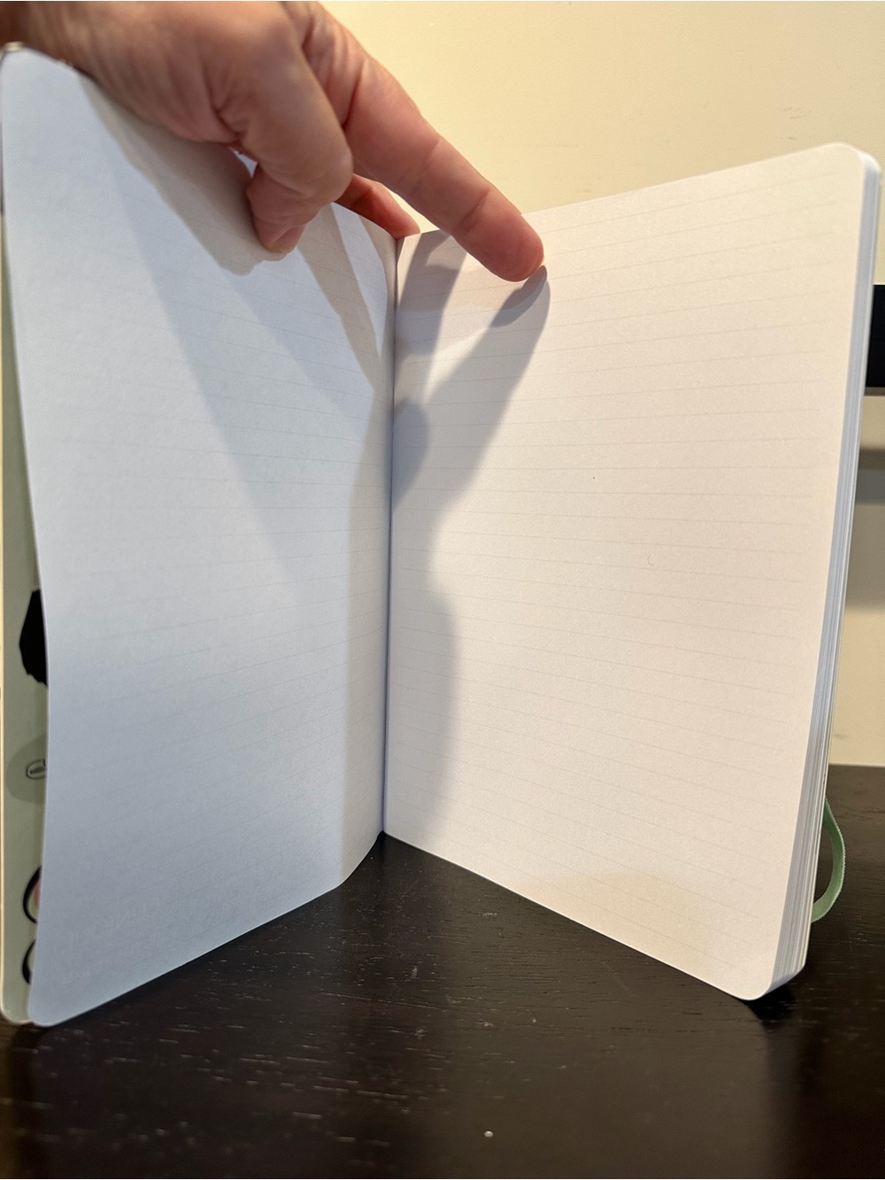 kate spade Clinique Makeup Pattern Notebook - Picture 9 of 9
